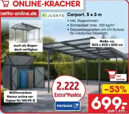 Netto Marken-Discount JUSKYS Carport, 5 x 3 m Angebot