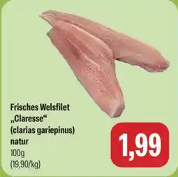 Feneberg Frisches Welsfilet „Claresse“ Angebot