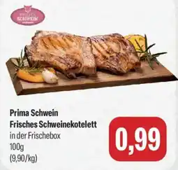 Feneberg Prima Schwein Frisches Schweinekotelett Angebot