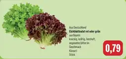 Feneberg Eichblattsalat rot oder grün Angebot