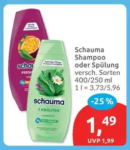 Budni Schauma shampoo Angebot
