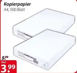 Magro Kopierpapier Angebot