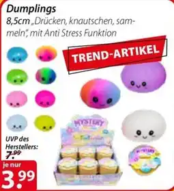 Magro Dumplings Angebot