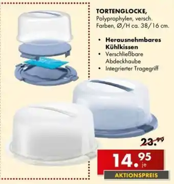Möbel Steffens TORTENGLOCKE Angebot