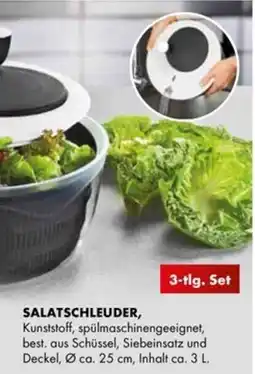 Möbel Steffens SALATSCHLEUDER Angebot