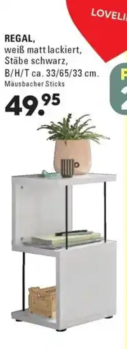 Möbel Turflon Regal Angebot