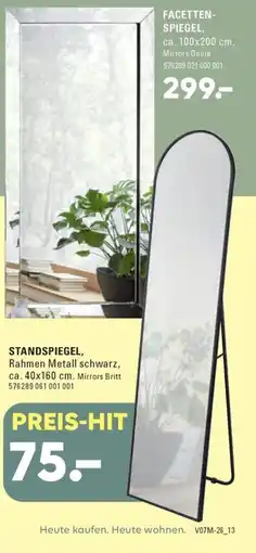 Möbel Turflon STANDSPIEGEL, Rahmen Metall schwarz, Mirrors Britt Angebot
