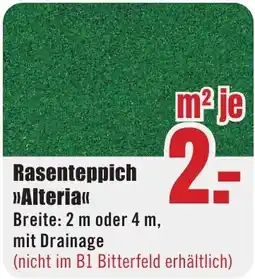 B1 Discount Baumarkt Rasenteppich »Alteria« Angebot