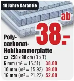 B1 Discount Baumarkt Poly-carbonat-Hohlkammerplatte Angebot