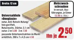 B1 Discount Baumarkt Universaldiele »Douglasie« Angebot