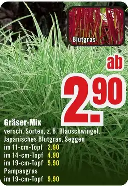 B1 Discount Baumarkt Gräser-Mix Angebot
