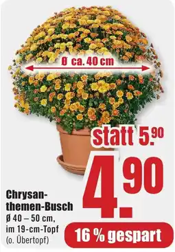 B1 Discount Baumarkt Chrysanthemen-Busch Angebot