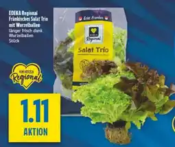 diska EDEKA Regional Fränkisches Salat Trio Angebot