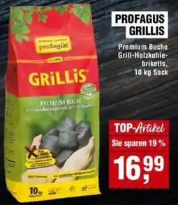 Handelshof PROFAGUS GRILLIS Premium Buche Grill-Holzkohle-briketts Angebot