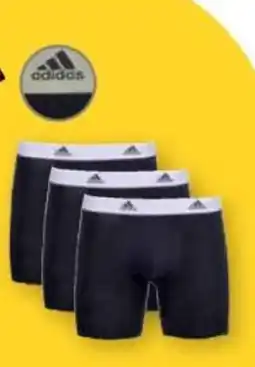 Globus adidas Boxershorts Angebot