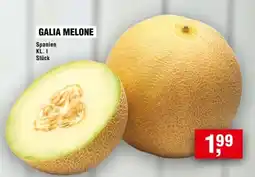 Handelshof GALIA MELONE Angebot