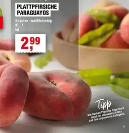 Handelshof PLATTPFIRSICHE PARAGUAYOS Angebot