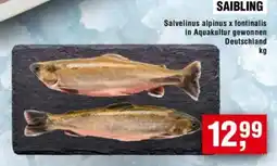 Handelshof SAIBLING Angebot