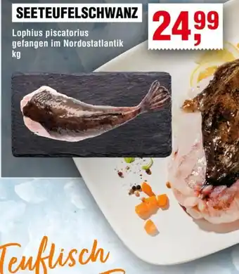 Handelshof SEETEUFELSCHWANZ Angebot