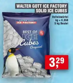 Handelshof WALTER GOTT ICE FACTORY SOLID ICE CUBES Angebot