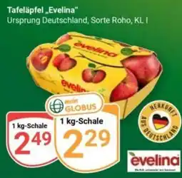 Globus Tafeläpfel "Evelina" Angebot