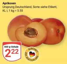 Globus Aprikosen Angebot