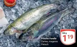 Globus Frische Forelle Angebot