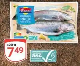 Globus Escal Rotenbogen Forellen Angebot