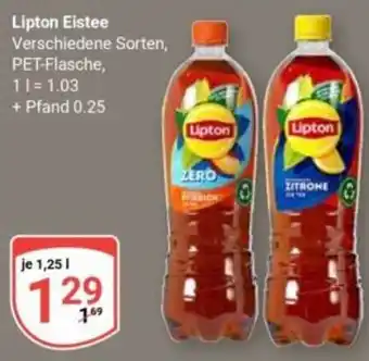 Globus Lipton Eistee Angebot