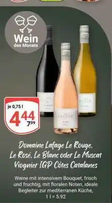 Globus Domaine Lafage, Le Rouge, Le Rosé, Le Blanc oder Le Muscat Viognier IGP Côtes Catalanes Angebot