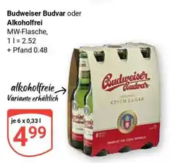 Globus Budweiser Budvar oder Alkoholfrei Angebot
