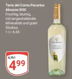 Globus Terre del Corno Pecorino Abruzzo DOC Angebot