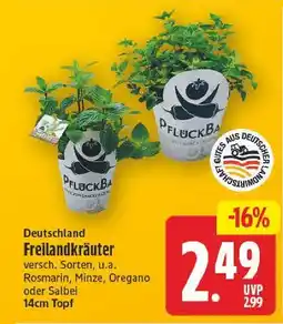 E-Center Freilandkräuter Angebot