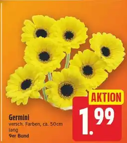 E-Center Germini Angebot