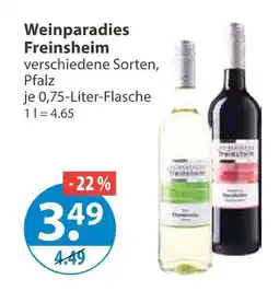 V Markt Weinparadies freinsheim wein Angebot