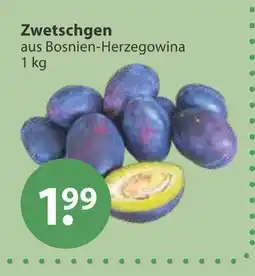V Markt Zwetschgen Angebot