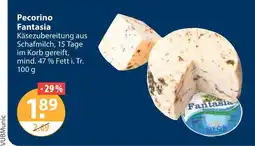 V Markt Fantasia pecorino Angebot