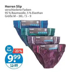 V Markt Herren slip Angebot