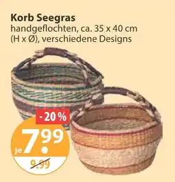 V Markt Korb seegas Angebot