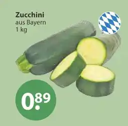 V Markt Zucchini Angebot
