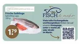 V Markt Fischerei köppelmühle gmbh frische saiblinge Angebot