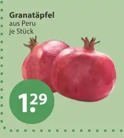 V Markt Granatäpfel Angebot