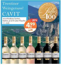 V Markt Cavit wein Angebot