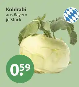 V Markt Kohlrabi Angebot