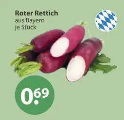V Markt Roter rettich Angebot