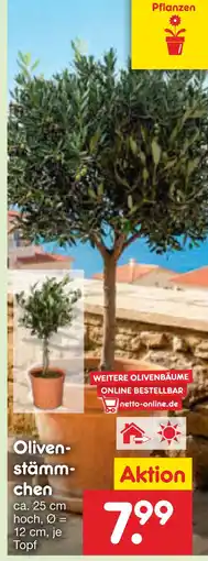 Netto Marken-Discount Oliven-stämm-chen Angebot