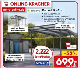 Netto Marken-Discount Juskys carport Angebot