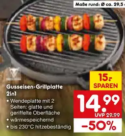 Netto Marken-Discount Gusseisen-grillplatte Angebot