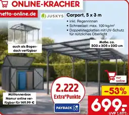 Netto Marken-Discount JUSKYS Carport, 5 x 3 m Angebot