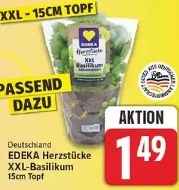 nah & gut EDEKA Herzstücke XXL-Basilikum Angebot